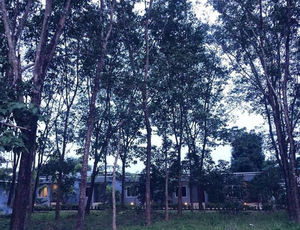 Saiyuan Garden Resort Rawai Exteriér fotografie